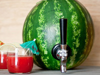 KegWorks Deluxe Watermelon Tap Kit 西瓜取汁器