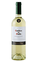Casillero Del Diablo 红魔鬼 苏维翁白葡萄酒750ml*2瓶