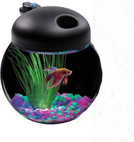 Aquarius Aq100004c Led Globe Bowl LED鱼缸