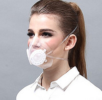 TOTOBOBO 经典PM2.5防护口罩 (头戴款)