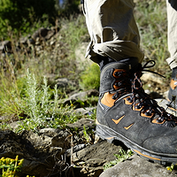 Lowa Camino GTX Hiking Boot 男款户外登山鞋