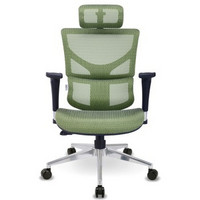 Ergomax 人体工程学电脑椅办公椅 ALX浅绿色