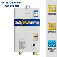 A.O.SMITH A.O.史密斯 JSQ24-N1 燃气热水器 12L/min