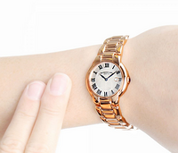 RAYMOND WEIL 蕾蒙威 Jasmine系列 5229-P5-01659 女士时装腕表