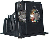 Lutema BL-FU250E-L01  LCD / DLP 经济型投影灯（适用于Optuma H76）