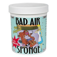  BAD AIR SPONGE Odor Neutralizer 空气净化剂 