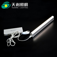 天利 T5-30-USB5W 台灯 银白