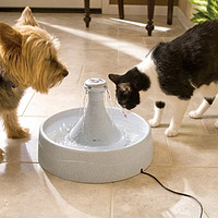 限中亚Prime会员：PetSafe Drinkwell 360 Pet Fountain 宠物饮水器 +凑单品