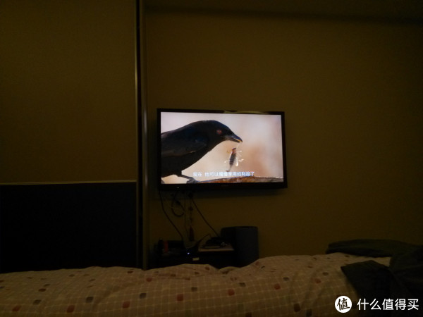 网友投稿:网购装修经验之