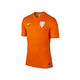 Nike 耐克 足球系列 577960 荷兰队比赛上衣