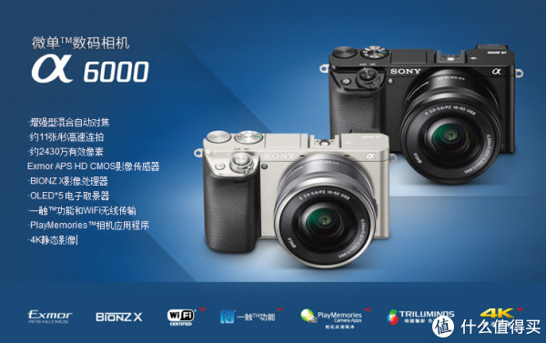 SONY 索尼 ILCE-6000(α6000) 套机(16-50mm饼干镜)