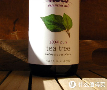 凑单品：NOW 诺奥 now essential oils 100% Tea Tree Oil 纯茶树精油 30ml