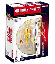 4D MASTER 26059 人体拼装模型 骨骼拼装