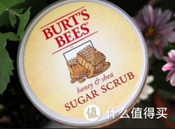 凑单品：Burt's Bees 小蜜蜂 Honey and Shea Sugar 蜂蜜乳木果身体磨砂膏 225g