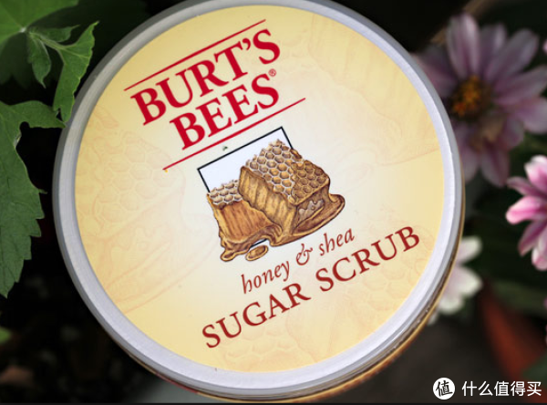 凑单品:Burt's Bees 小蜜蜂 Honey and Shea Sugar 蜂蜜乳木果身体磨砂膏 225g