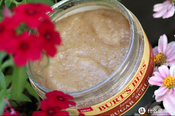 凑单品:Burt's Bees 小蜜蜂 Honey and Shea Sugar 蜂蜜乳木果身体磨砂膏 225g