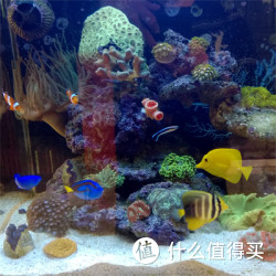 晒物经验小黑板：海底两万里