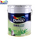 Dulux 多乐士 A991 家丽安净味墙面漆（白色18升）