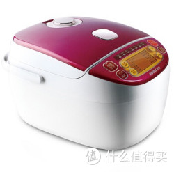 POVOS 奔腾 FY4159 电饭煲（4L土炤锅）