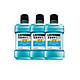 LISTERINE 李施德林 冰蓝口味漱口水 250ml*3