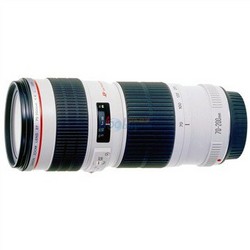 Canon 佳能 EF 70-200mm f/4L USM 远摄变焦镜头