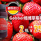 gobber 格博 草莓果酱450克（德国进口 瓶）*2