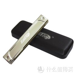 EASSTTOP 东方鼎 22孔 专业口琴
