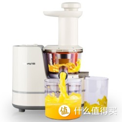 Joyoung 九阳 JYZ-E12 营养果蔬原汁机