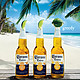 Corona 科罗娜 特级瓶装啤酒 330ml*24瓶
