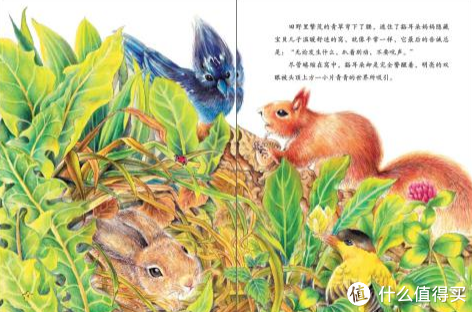 《西顿动物故事小百科系列（套装共5册）》