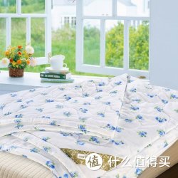 HOMES 红富士 KSE-3 润肤蚕丝空调被150*210cm（合适1.1米床和1.35米床）