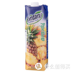 芬特乐牌 菠萝汁1L 