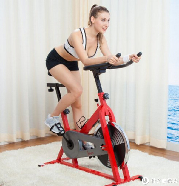 SUNNY HEALTH&FITNESS SF-B1001 专业家用动感单车(无极阻力微调、13KG飞轮)
