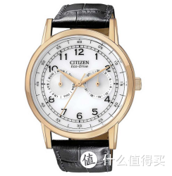 CITIZEN 西铁城 Eco-Drive AO9003-16A  男款光动能腕表