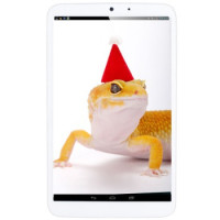 NESO 纽索  N810 i7 8英寸平板电脑 