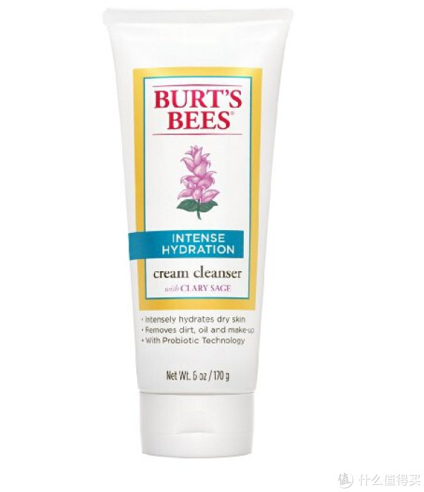 凑单品：Burt's Bees 小蜜蜂 Intense Hydration 保湿洁面膏 170g