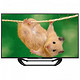 PANDA 熊猫 LE42C50 42英寸 LED电视