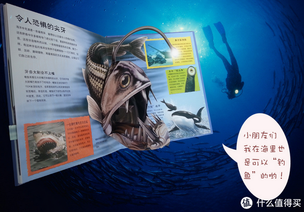 《3D自然科普乐园：深海怪兽》立体书