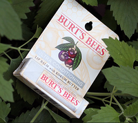 凑单品：Burt's Bees 小蜜蜂 Ultra Conditioning with Kokum Butter 保湿滋润唇膏 4.25g