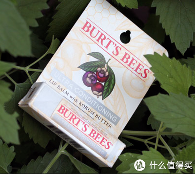凑单品：Burt's Bees 小蜜蜂 Ultra Conditioning with Kokum Butter 保湿滋润唇膏 4.25g