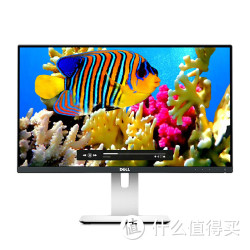 DELL 戴尔 U2414H 23.8英寸IPS显示器（窄边框、IPS屏、DC调光）