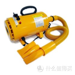 LANTUN 蓝豚 宠物吹风吹水专用单马达3000w吹水机 LT-1090B