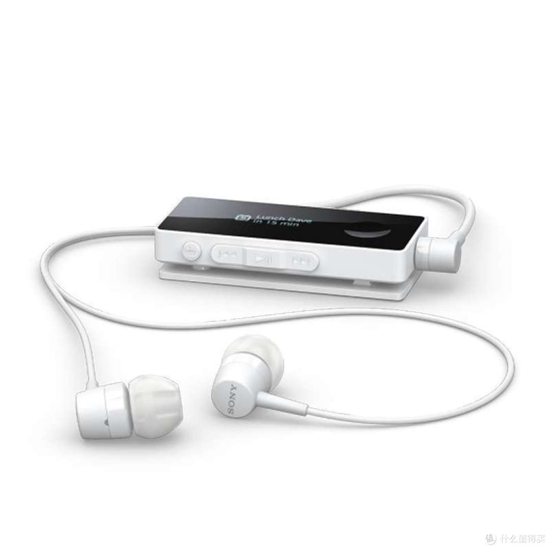 索尼大法好，信仰初达成 — Sony 索尼 蓝牙耳机SBH-50
