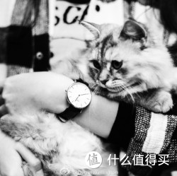 活动预告：Daniel Wellington DW 丹尼尔·惠灵顿腕表 官网