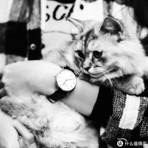 活动预告:Daniel Wellington DW 丹尼尔·惠灵顿腕表 官网