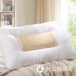 LOVO 罗莱家纺枕芯 板蓝根荞麦壳枕47*73cm ZXBLGQMKZ