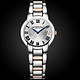 RAYMOND WEIL 蕾蒙威 Jasmine 系列 5235-S5-01659 女士时装腕表