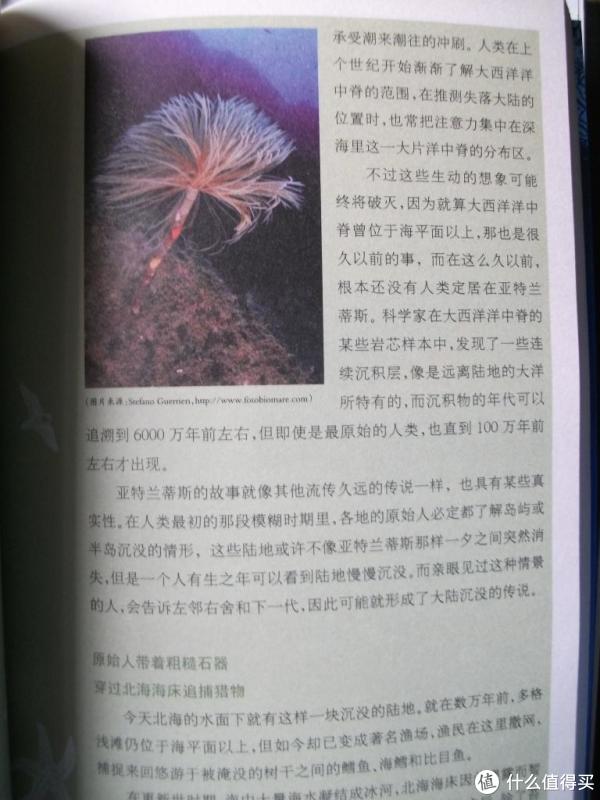 《海洋传》