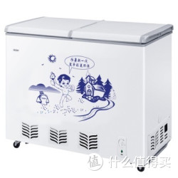 Haier 海尔 BC/BD-218SHT 双变温柜