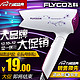 FLYCO 飞科 电吹风机 FH6257